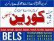 Korean Language Institute Fees in Lhr BelsCollege