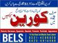 Korean Language Institute Fees in Lhr BelsCollege