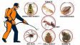 Fumigation & Pest Control Services