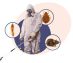 Fumigation & Pest Control Services