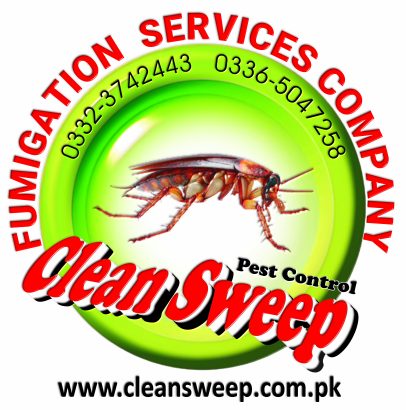 Fumigation company in Rawalpindi