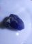 Rare Blue Sapphire