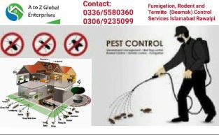 A to Z Global Enterprises | Pest Control | Termite control