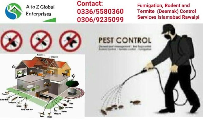 A to Z Global Enterprises | Pest Control | Termite control