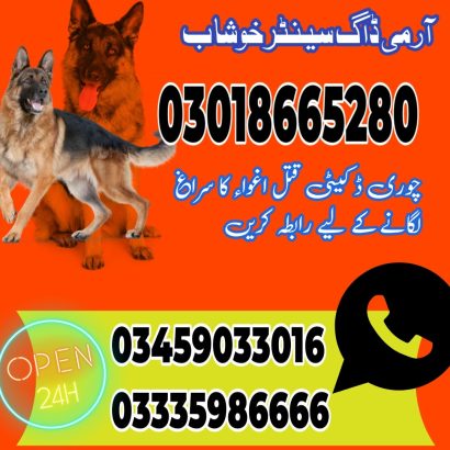 Army Dog Center Mianwali