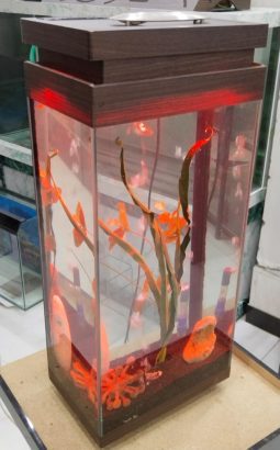 Mini tower aquarium