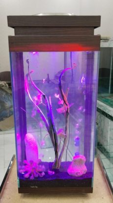 Mini tower aquarium