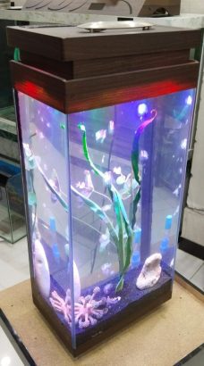 Mini tower aquarium