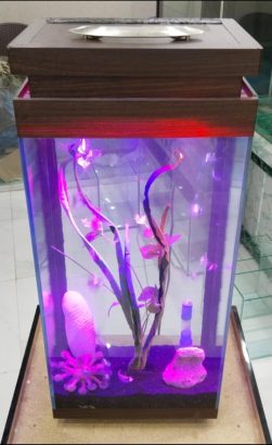 Mini tower aquarium