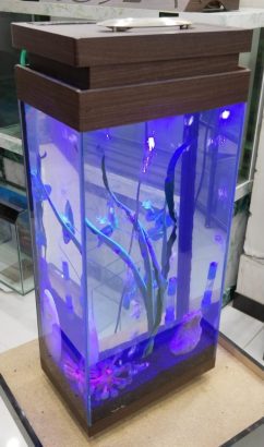 Mini tower aquarium