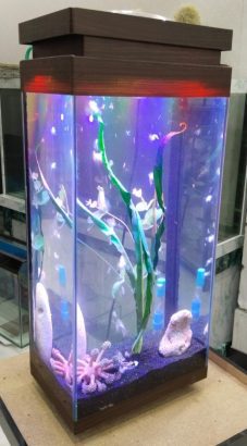 Mini tower aquarium