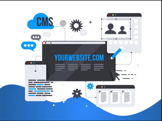 Best Web developing agency in pakistan