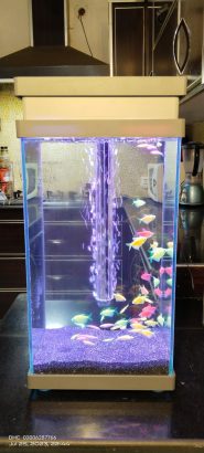 Drone shower aquarium