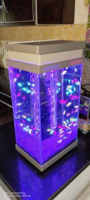 Drone shower aquarium