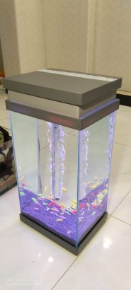 Drone shower aquarium