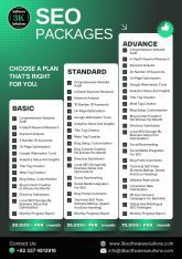 Search Engine Optimization (SEO) Services