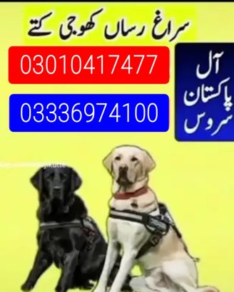 ARMY DOG CENTER HYDERABAD