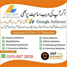 I will Approve you Website or Blog from Google Adsense