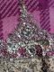 Ladies bridal dresss
