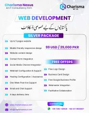 Web Development Services Provider