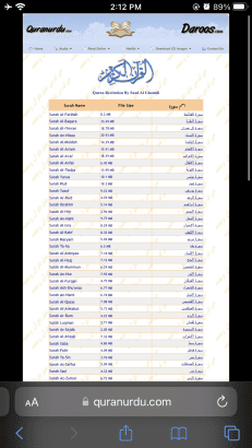 Universal MP3 Player+2 GB MMC+0.5 A Charger+Cable+H-Free