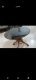 Set of 3 Wooden Center Tables Round Shape for Sale