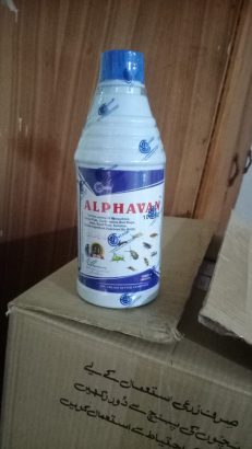 No samil Dengue control sprya fumigation