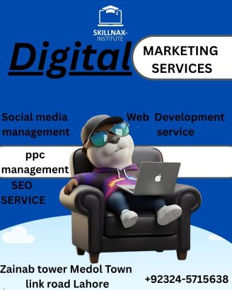 Best DIgital Marketing Institute in Model Town Link Road LHR