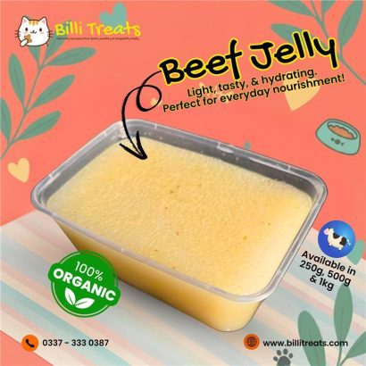 Homemade Cat Food in Karachi | Billi Treats