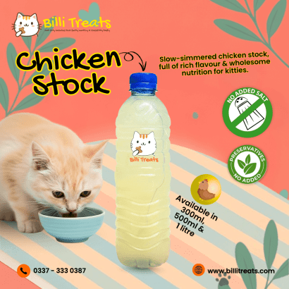 Homemade Cat Food in Karachi | Billi Treats