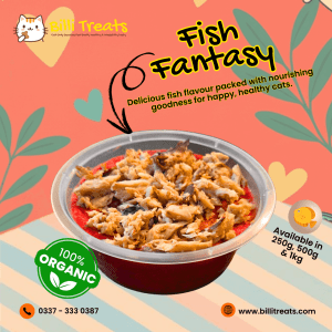 Homemade Cat Food in Karachi | Billi Treats