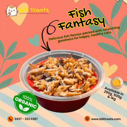Homemade Cat Food in Karachi | Billi Treats