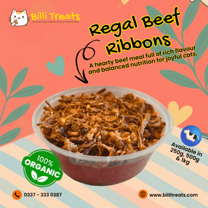 Homemade Cat Food in Karachi | Billi Treats