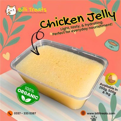 Homemade Cat Food in Karachi | Billi Treats